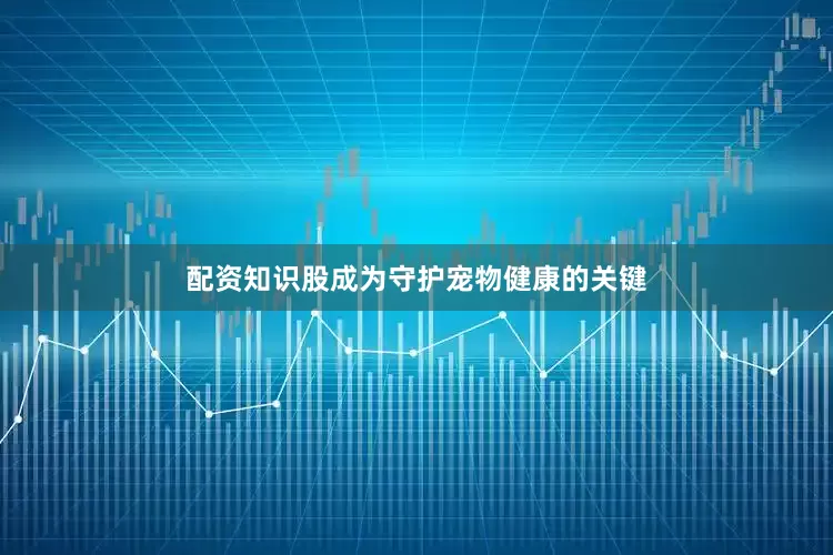 配资知识股成为守护宠物健康的关键