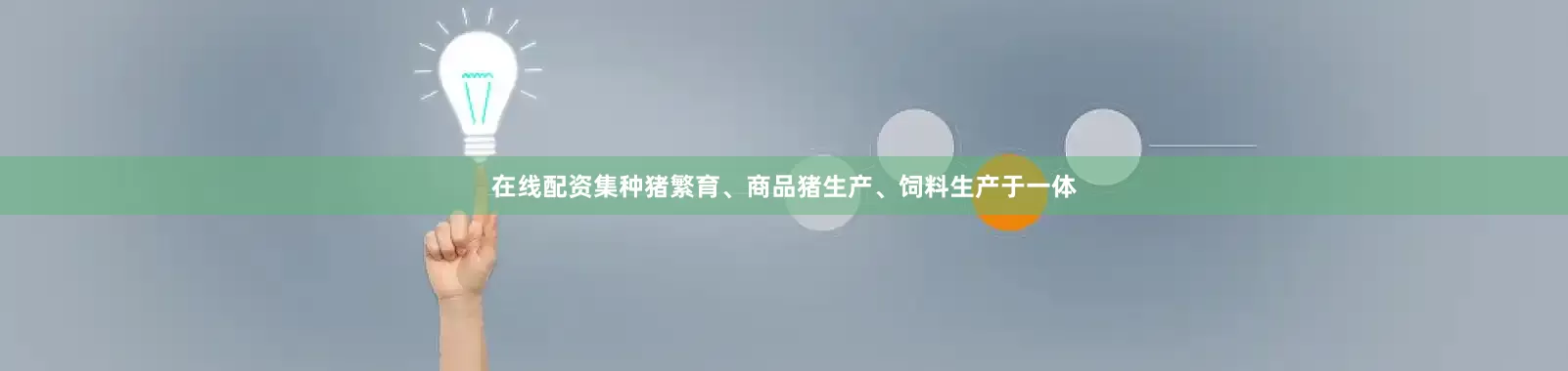 在线配资集种猪繁育、商品猪生产、饲料生产于一体