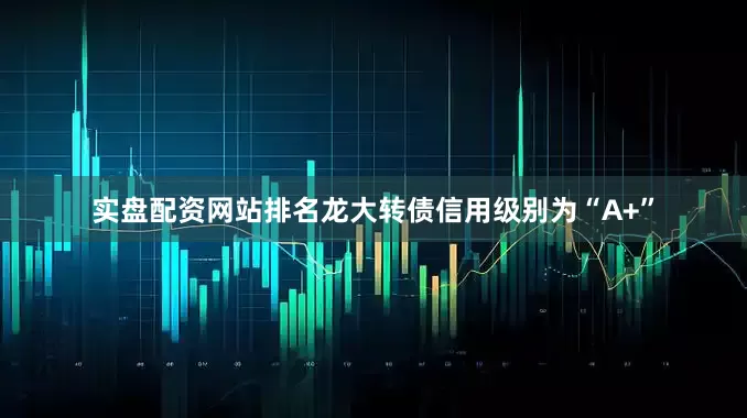 实盘配资网站排名龙大转债信用级别为“A+”