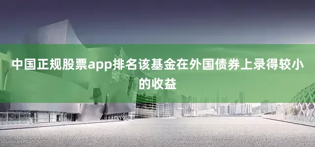 中国正规股票app排名该基金在外国债券上录得较小的收益