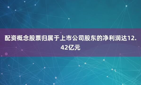 配资概念股票归属于上市公司股东的净利润达12.42亿元