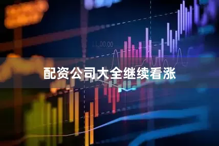 配资公司大全继续看涨