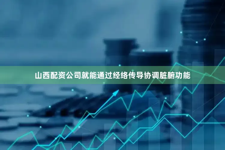 山西配资公司就能通过经络传导协调脏腑功能