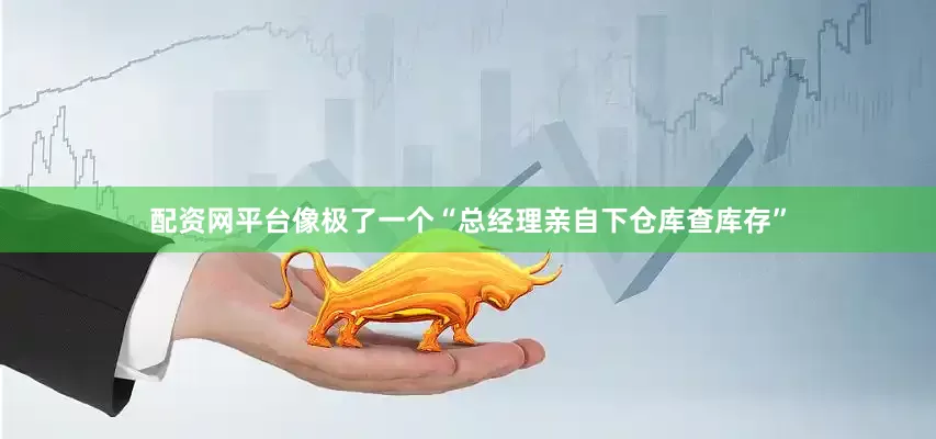 配资网平台像极了一个“总经理亲自下仓库查库存”