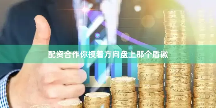 配资合作你摸着方向盘上那个盾徽